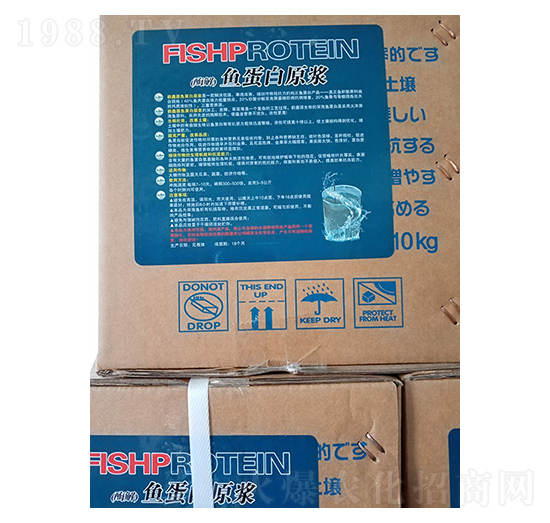 �~����ԭ�{-���r����