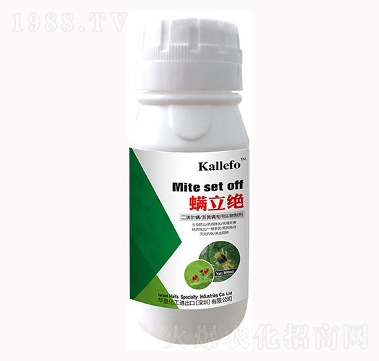 �����~�����S�����������Ƅ� �����^