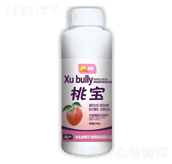 �Ҍ�-�������