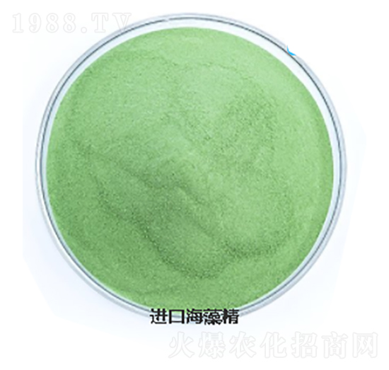 �M�ں��徫-���L�`