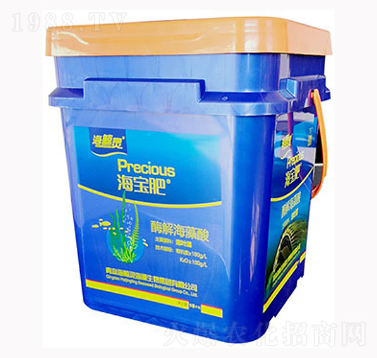 ø�⺣����-������-�L�`