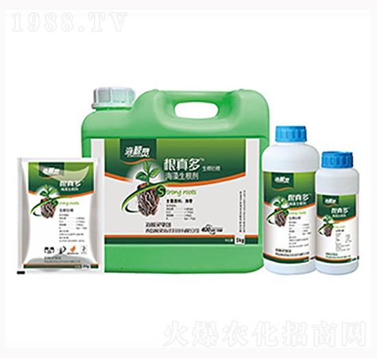 ����ຣ��������-�L�`