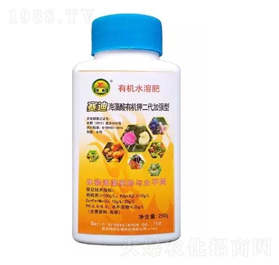 �t�Ρ������ЙC(j��)�-�t��