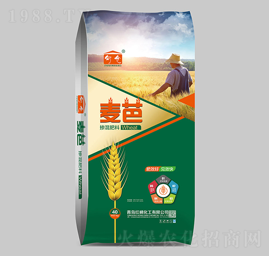 �������-����-�t�׻���