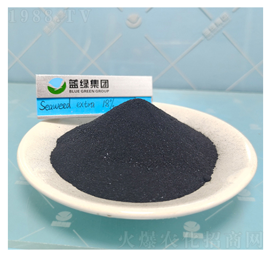 ���徫��-����˹����