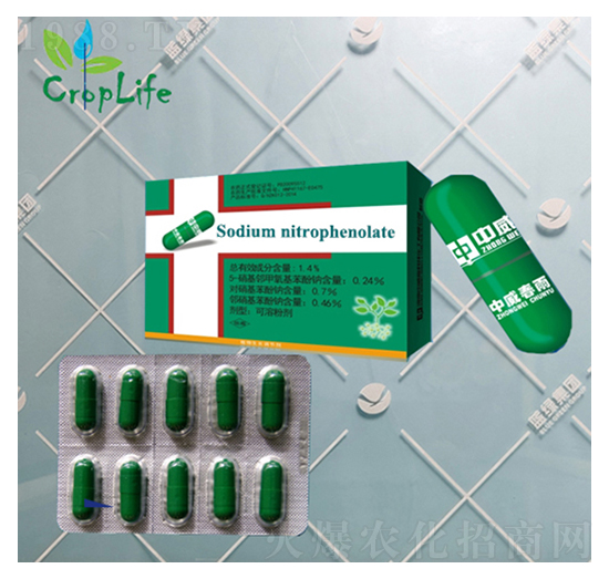 ����1̖���z�ң�-����˹����