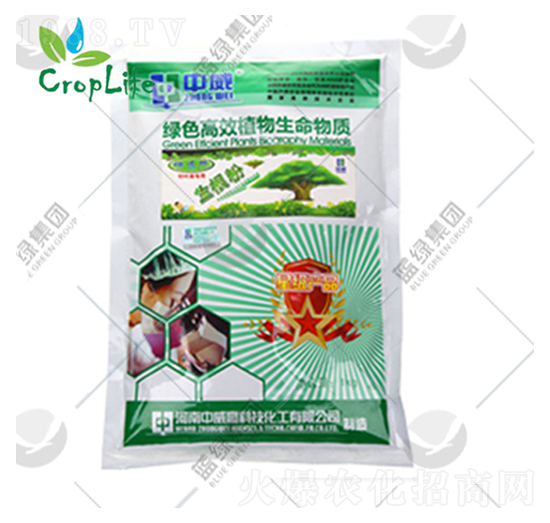 �S���-��(��i)��˹����