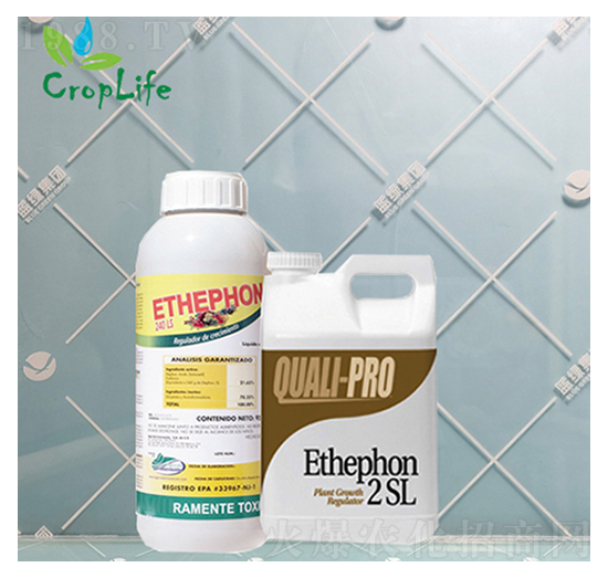 ��ϩ��-����˹����