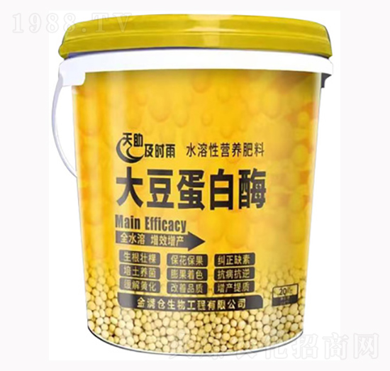 �󶹵���ø-��M�}(c��ng)