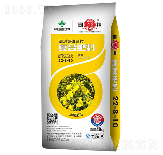 �Ͳ��m�Ï�(f��)�Ϸ���22-8-10-�@��-����(l��i)��