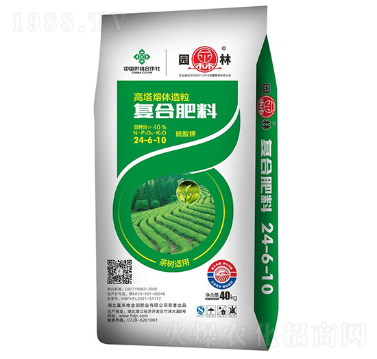 ����m�ÏͺϷ���24-6-10-�@��-������