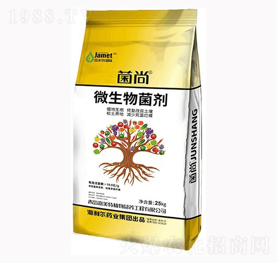 ΢�������-����-�W��˹