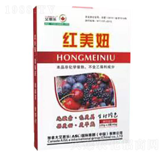 �t���-��˼��