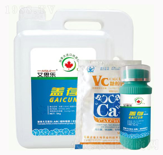 �w���Ǵ��}-��˼��