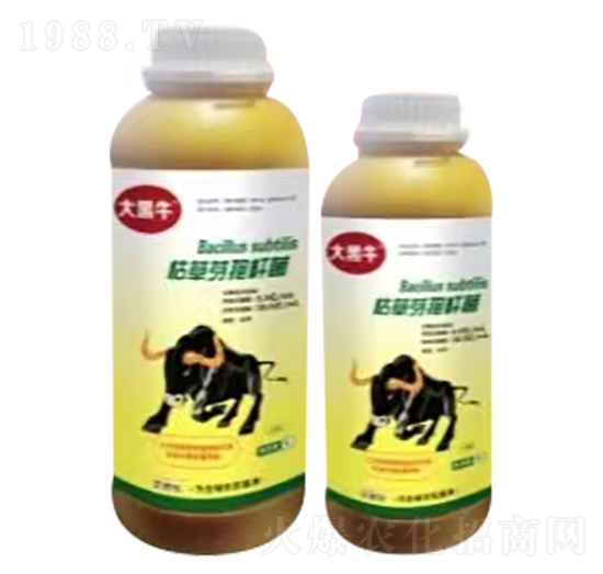 �ݲ�ѿ�ߗU��-���ţ-��˼��(l��)