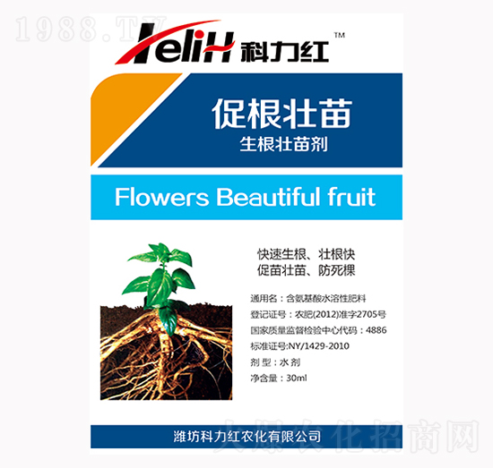 �������焩-�����t-��������