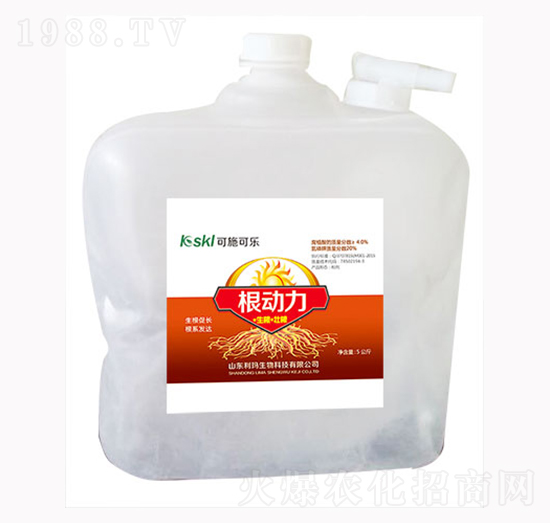 ����(d��ng)��-��������