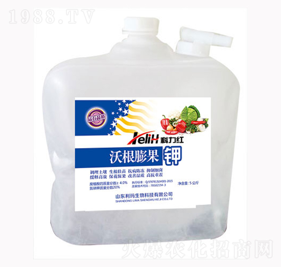 5�����ָ�����-�����t-��������