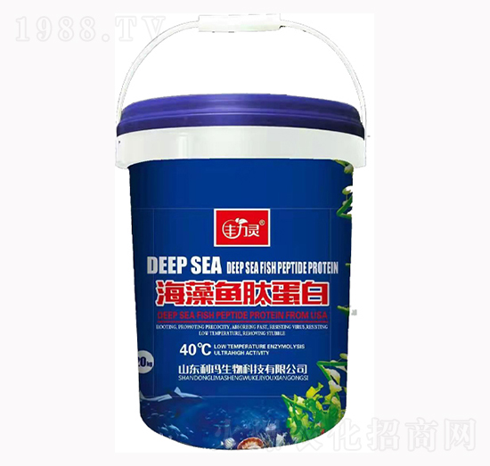 �����~�ĵ���-�S���`-��������