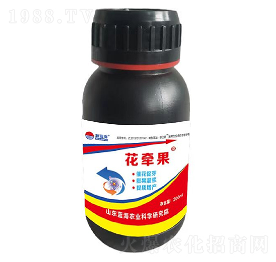 ������-�{��