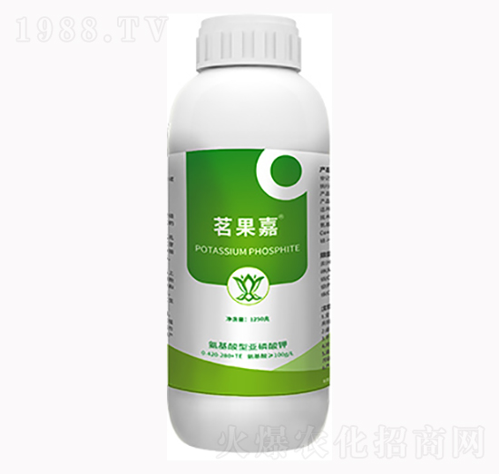 ������-���_