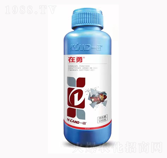 10%(li��n)�������x��-����-һ������