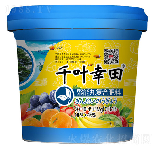 �������(f��)�Ϸ���-ǧ�~����-���