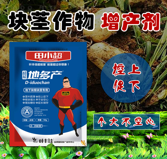 ���K���K�o��(zhu��n)�ó��ܵض�a(ch��n)-��С��-���r(n��ng)��¶