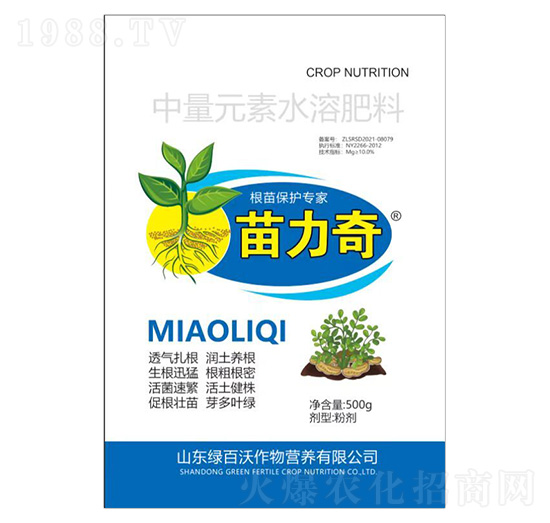 ���籣�o(h��)����-������-�G����