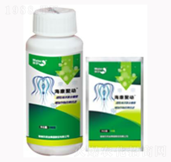 �����ۄ�-������