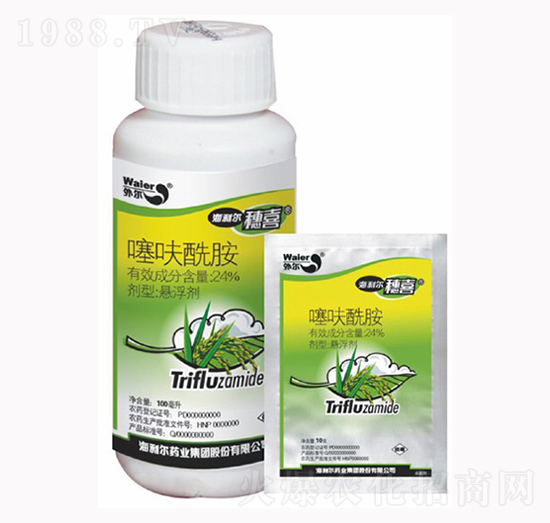 24%��߻����-��������ϲ-������