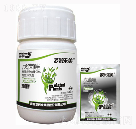 20%�����-���ט���-������