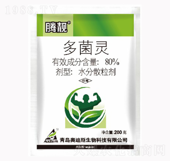 80%����`-�v�n-������