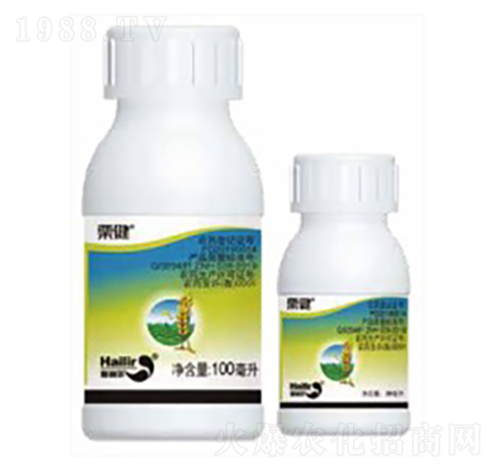 ����-������