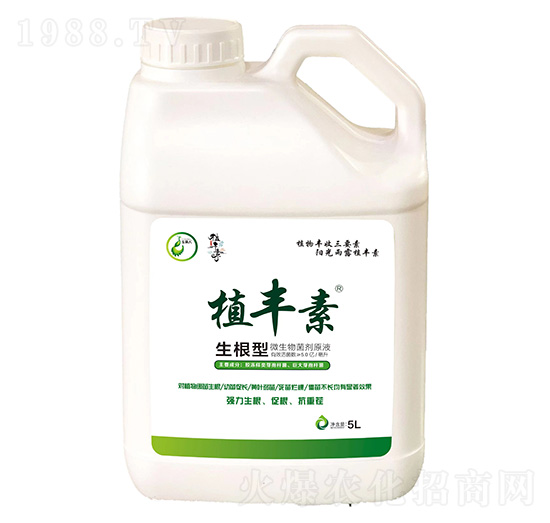 ������-ֲ�S��-������