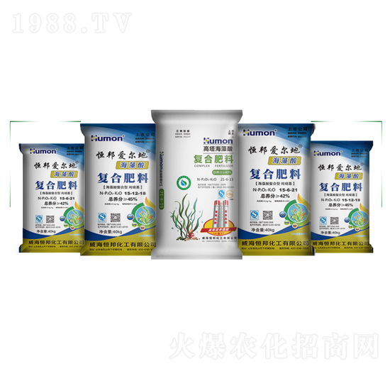 �������(f��)�Ϸ�-����