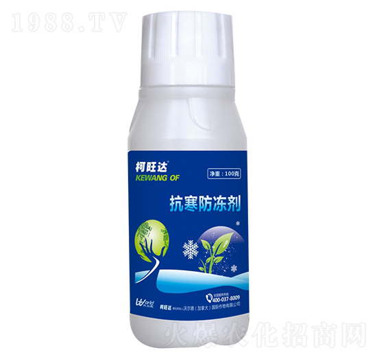 ����������-�����_(d��)-�֠���