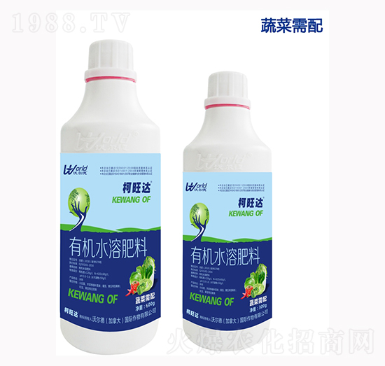 �߲ˌ����~���-�����_-�֠���