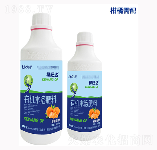 ���ٌ����~���-�����_-�֠���