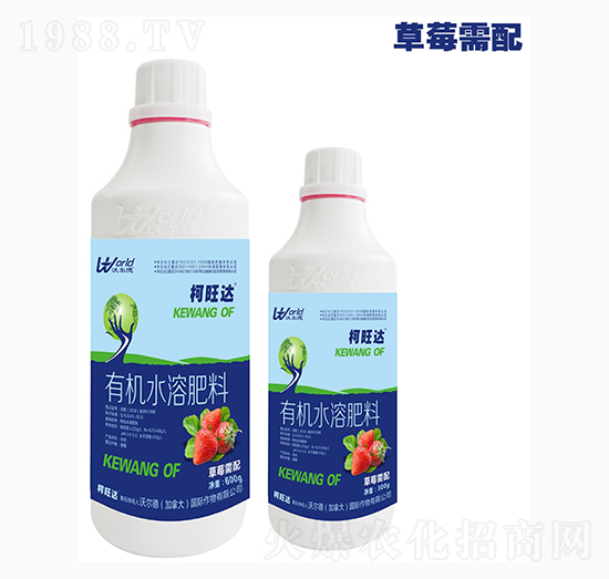 ��ݮ�����~���-�����_(d��)-�֠���