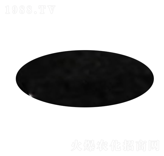 �۠ֲ��-����