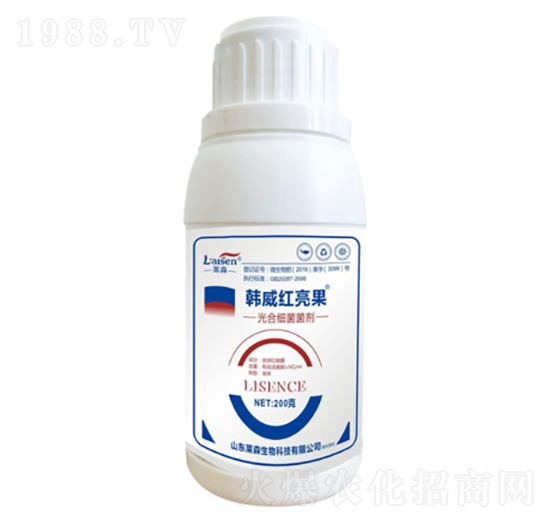 5�|��ϼ�������-�n���t����-�Rɭ����