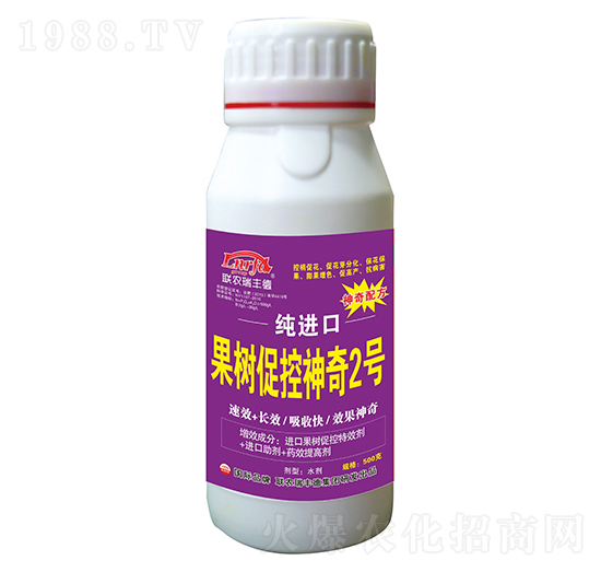 �������-���M�ڹ���ٿ�����2̖-���S��