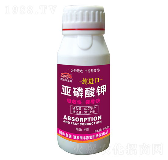 ���M(j��n)�ځ������-���S��