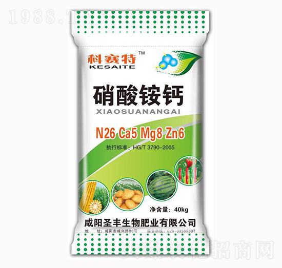 �����@�}-��ِ��-ʥ�S