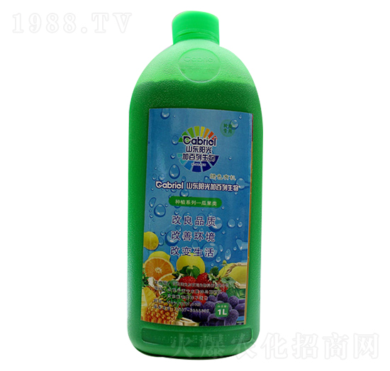 �Ϲ����-ꖹ�Ӱ���