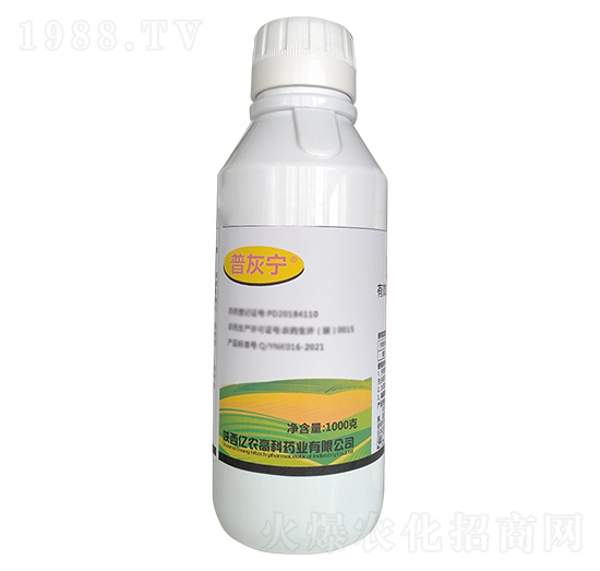 1000g��ù��-�ջҌ�-�|�r�߿�