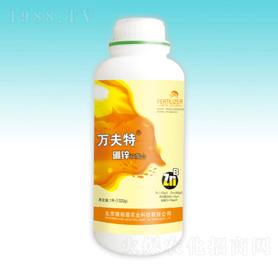 �f�������\�p����-��ԣ��