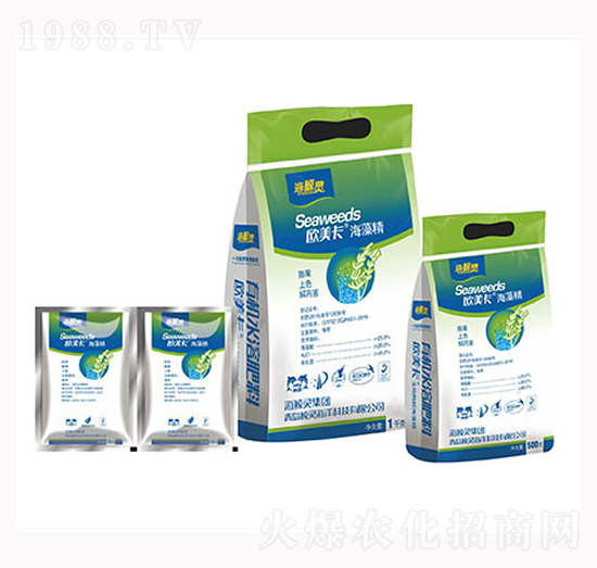 �W�������徫�M��-���L�`