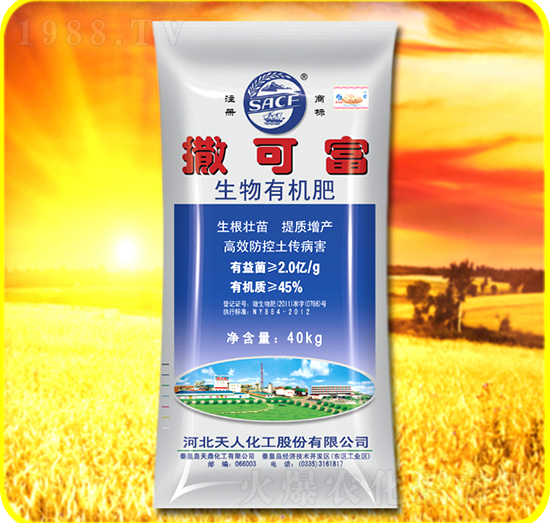 �����ЙC��-���ɸ�-���˻���